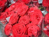 CursuriFestive_3 095.jpg